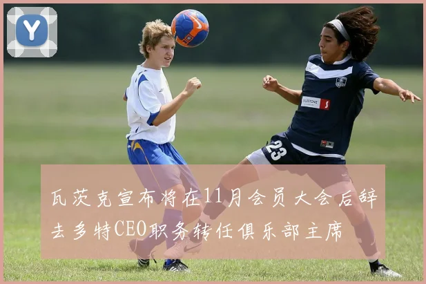 瓦茨克宣布将在11月会员大会后辞去多特CEO职务转任俱乐部主席